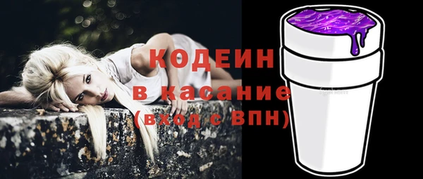 хмурый Алексин