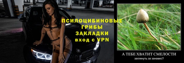 spice Алексеевка