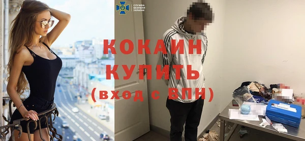 хмурый Алексин