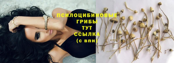 экстази Алзамай