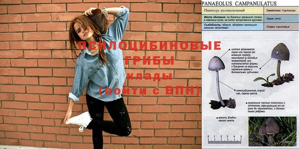 хмурый Алексин