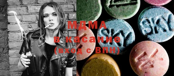хмурый Алексин