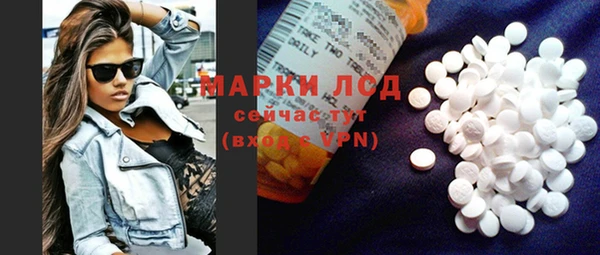 хмурый Алексин