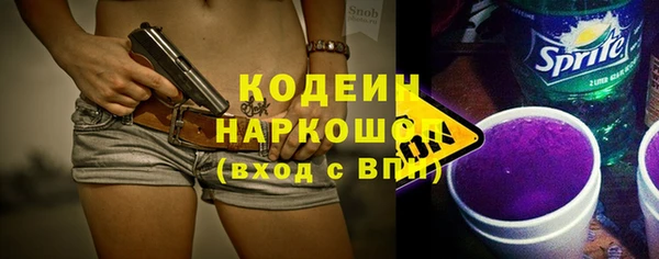 хмурый Алексин