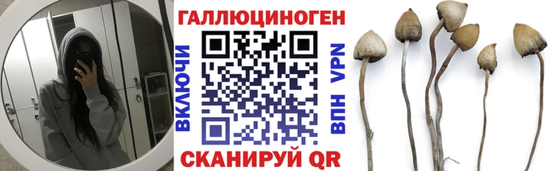 продажа наркотиков  Белореченск  Галлюциногенные грибы MAGIC MUSHROOMS 
